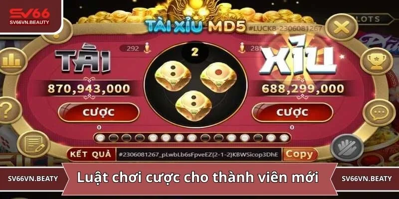 Luật chơi cược cho thành viên nên tham gia 